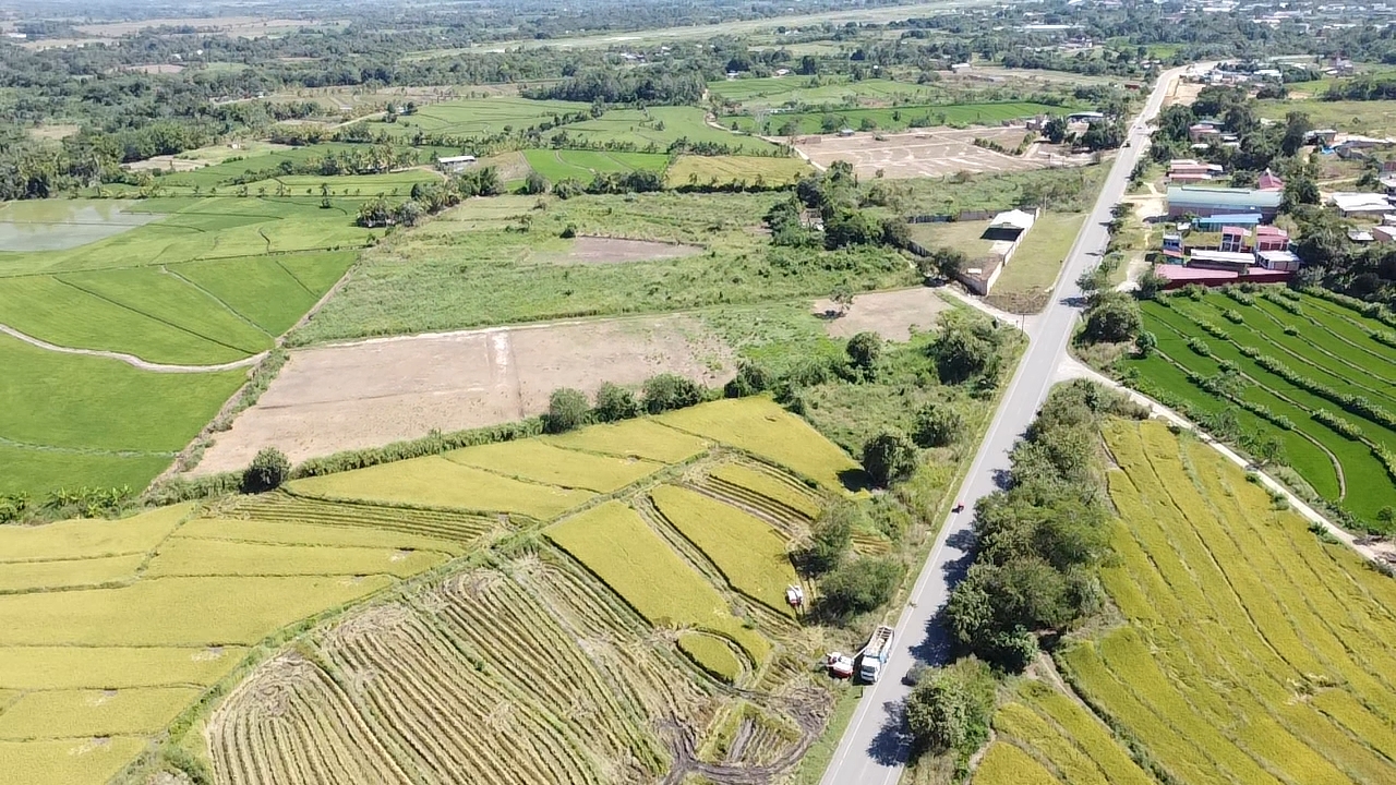 Gran Oportunidad para Inversionistas en la Zona Industrial de Tarapoto