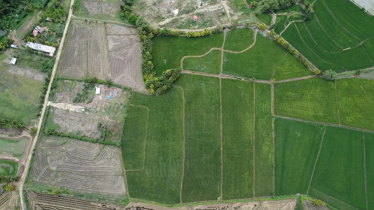 Terreno en venta ideal para proyecto inmobiliario o turístico en TARAPOTO