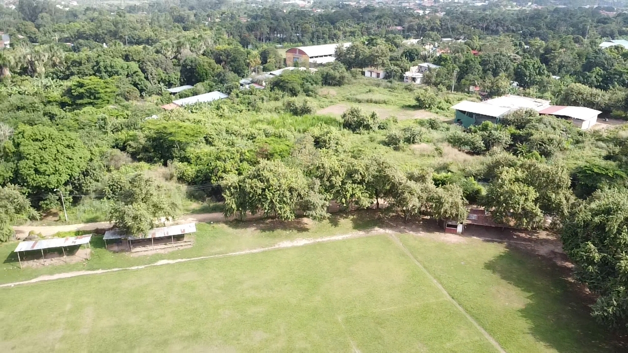 Terreno en venta campo el TUMI de 1.5 hectareas en Tarapoto