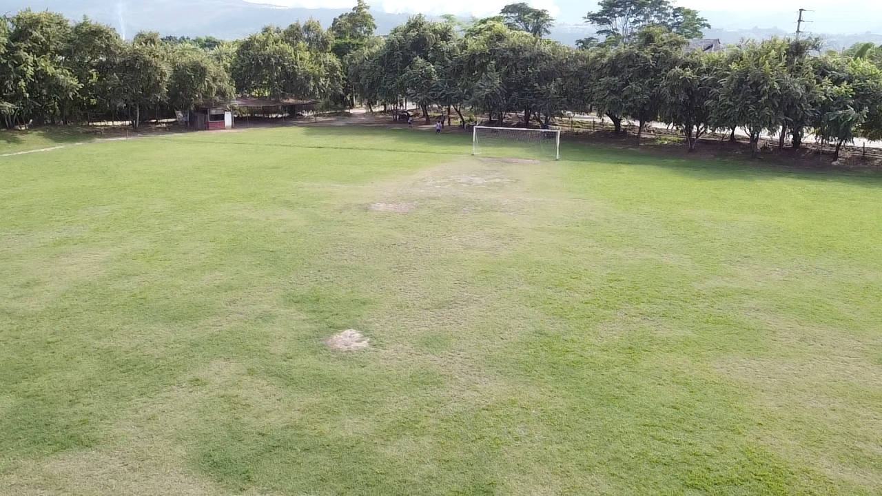 Terreno en venta campo el TUMI de 1.5 hectareas en Tarapoto
